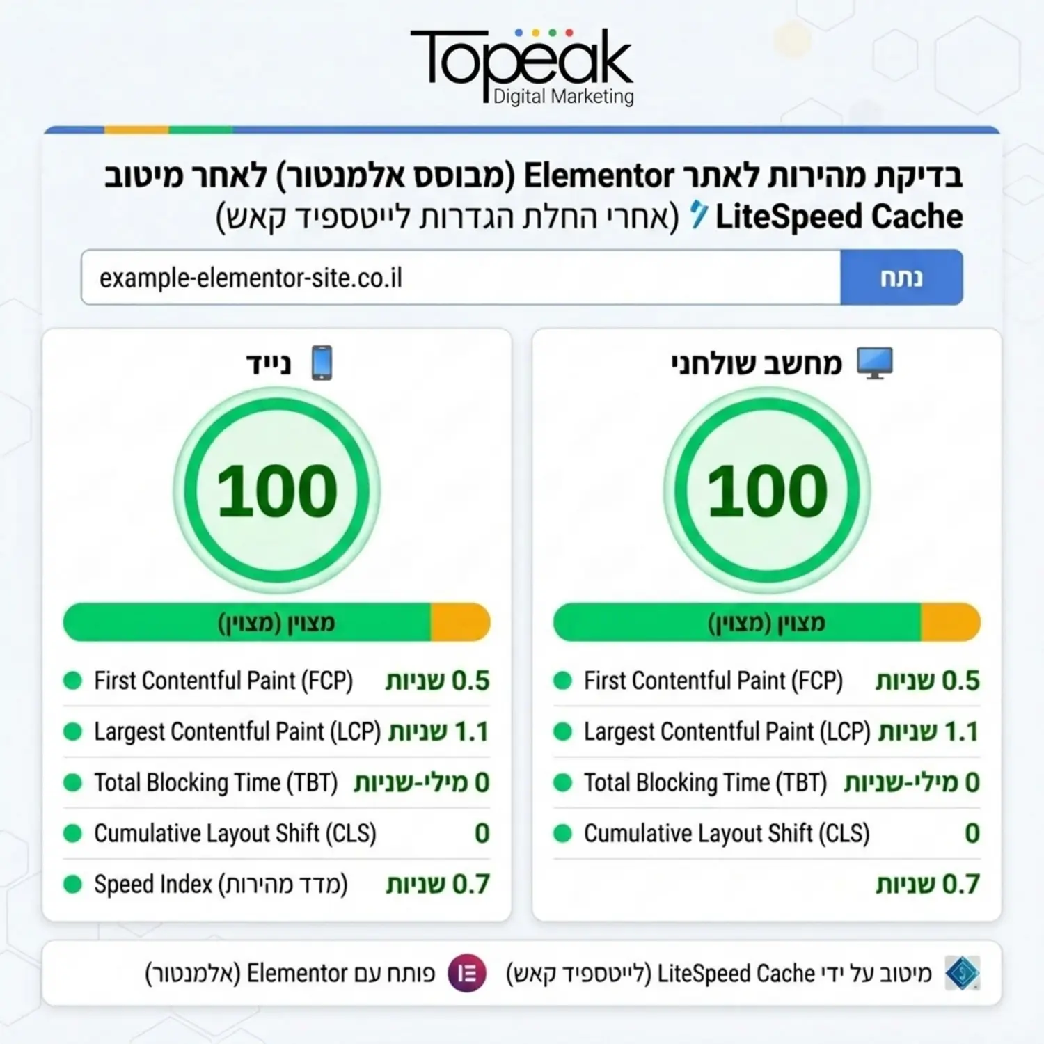 צילום מסך מעוצב של ממשק פייג'ספיד אינסייטס המציג ציון 100 ירוק גם במובייל וגם בדסקטופ עבור אתר מבוסס אלמנטור לאחר החלת הגדרות הלייטספיד קאש