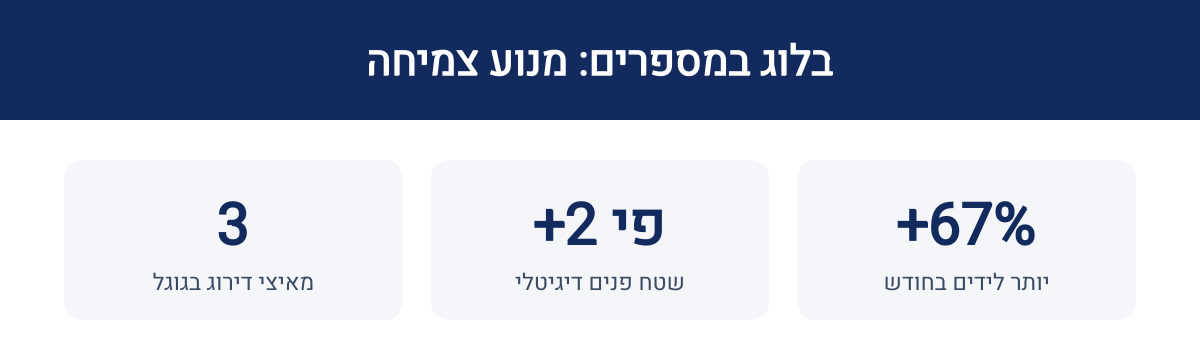 אינפוגרפיקה