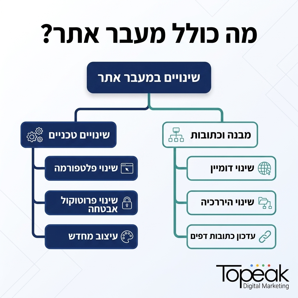 אינפוגרפיקה