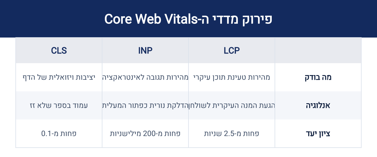 אינפוגרפיקה