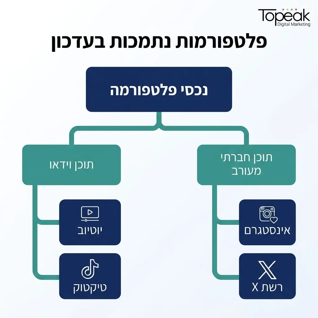 אינפוגרפיקה — פלטפורמות נתמכות בעדכון: נכסי פלטפורמה